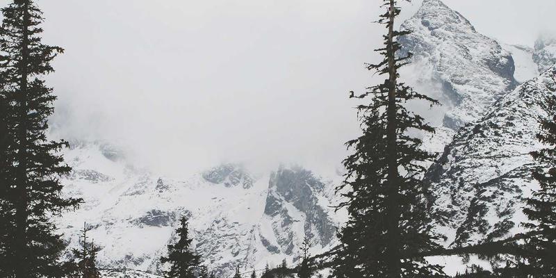 Expat Guide: How Dubai's Vertical Farms and Desalination Secure UAE's Food & Water Future