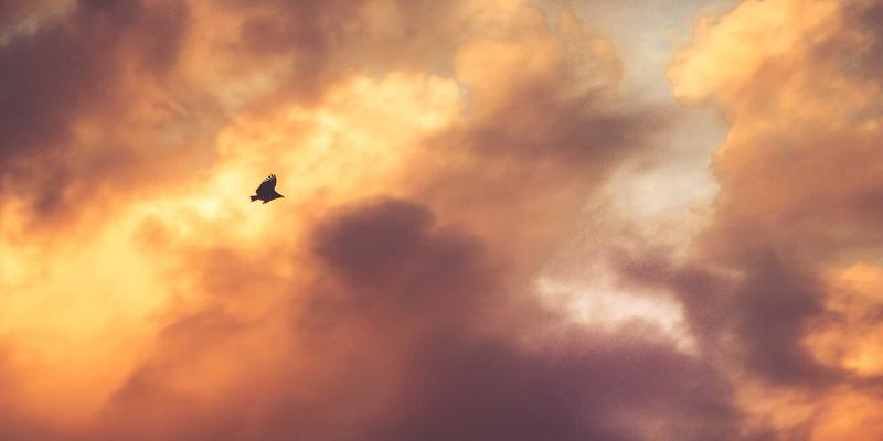 揭秘阿联酋优势：为何迪拜与本地生活体验成为全球精英之选