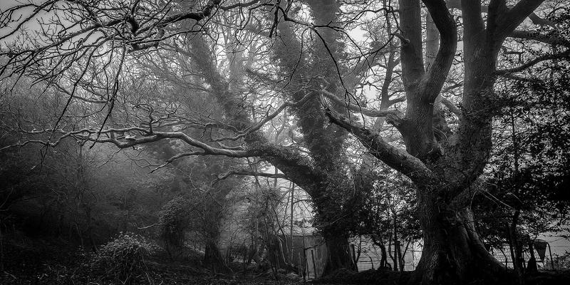 迪拜与阿联酋本地化制造指南：解读Operation 300bn战略对侨居人士的机遇