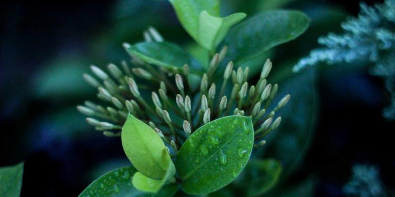 迪拜区块链经济区未来规划：外籍人士在阿联酋的生活指南