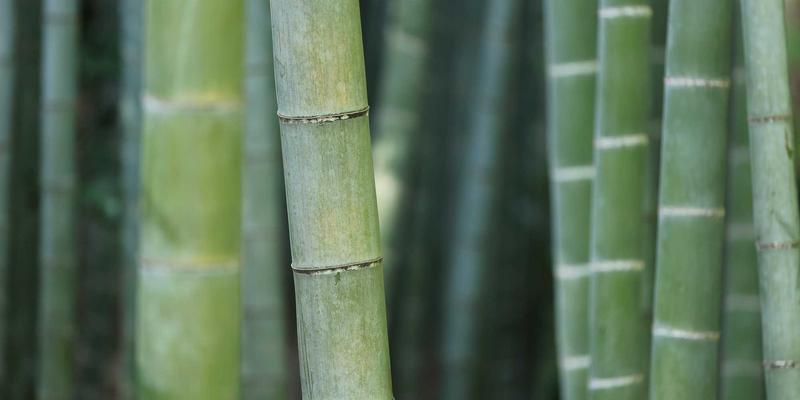 迪拜自由区与非自由区公司注册成本差异全解析