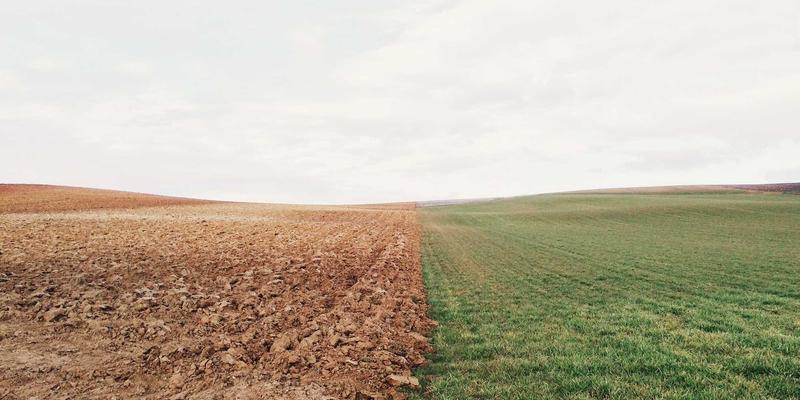 阿联酋《个人数据保护法》解析：对UAE Services、迪拜商业设立与数字营销的合规实践指南