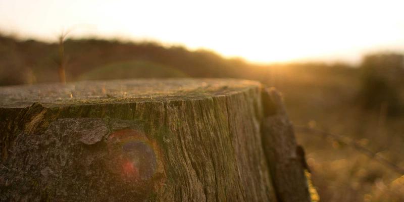 阿联酋医疗旅游崛起：迪拜健康城与尖端专科医院的国际吸引力