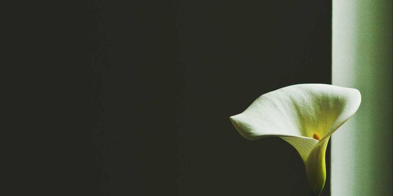 阿联酋控股公司架构设计与税务筹划全指南：面向阿布扎比投资者的专业策略