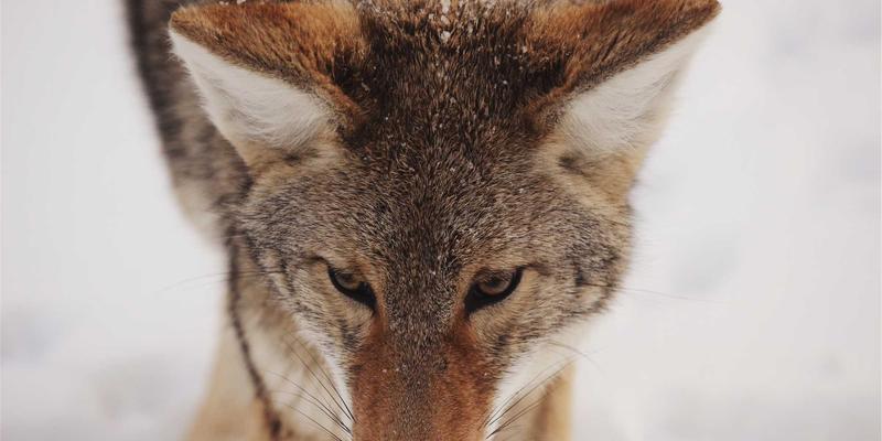 阿联酋数字银行与传统银行利率对比：创业者和外籍人士的终极指南