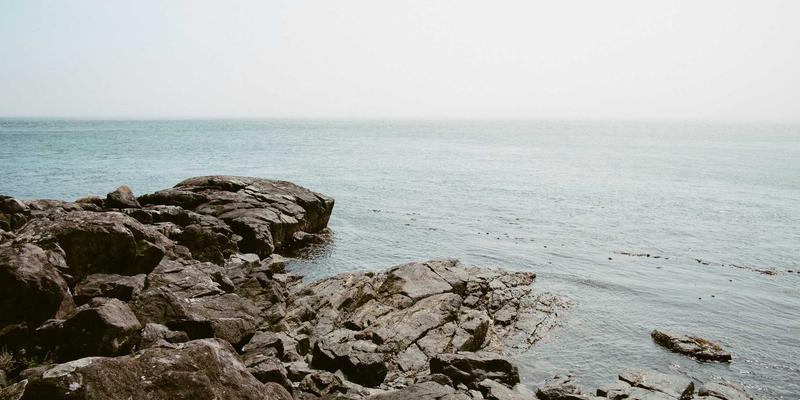 阿联酋特殊教育发展指南：包容性政策与支持体系如何重塑外籍家庭生活