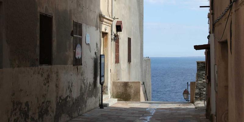 阿联酋碳信用交易市场发展现状：绿色转型与本地化机遇