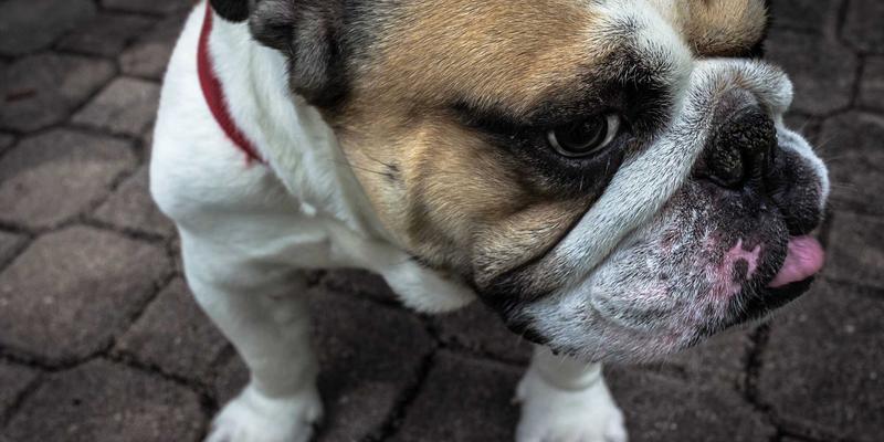 阿联酋航天雄心：从阿布扎比到火星，揭秘国家战略与本地产业机遇